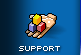 Product Support
